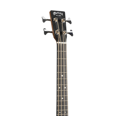 DJR-10E Bass Burst