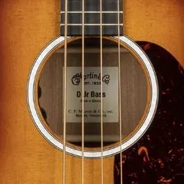 DJR-10E Bass Burst
