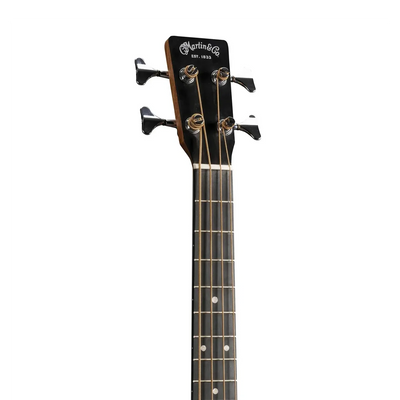 DJR-10E Bass