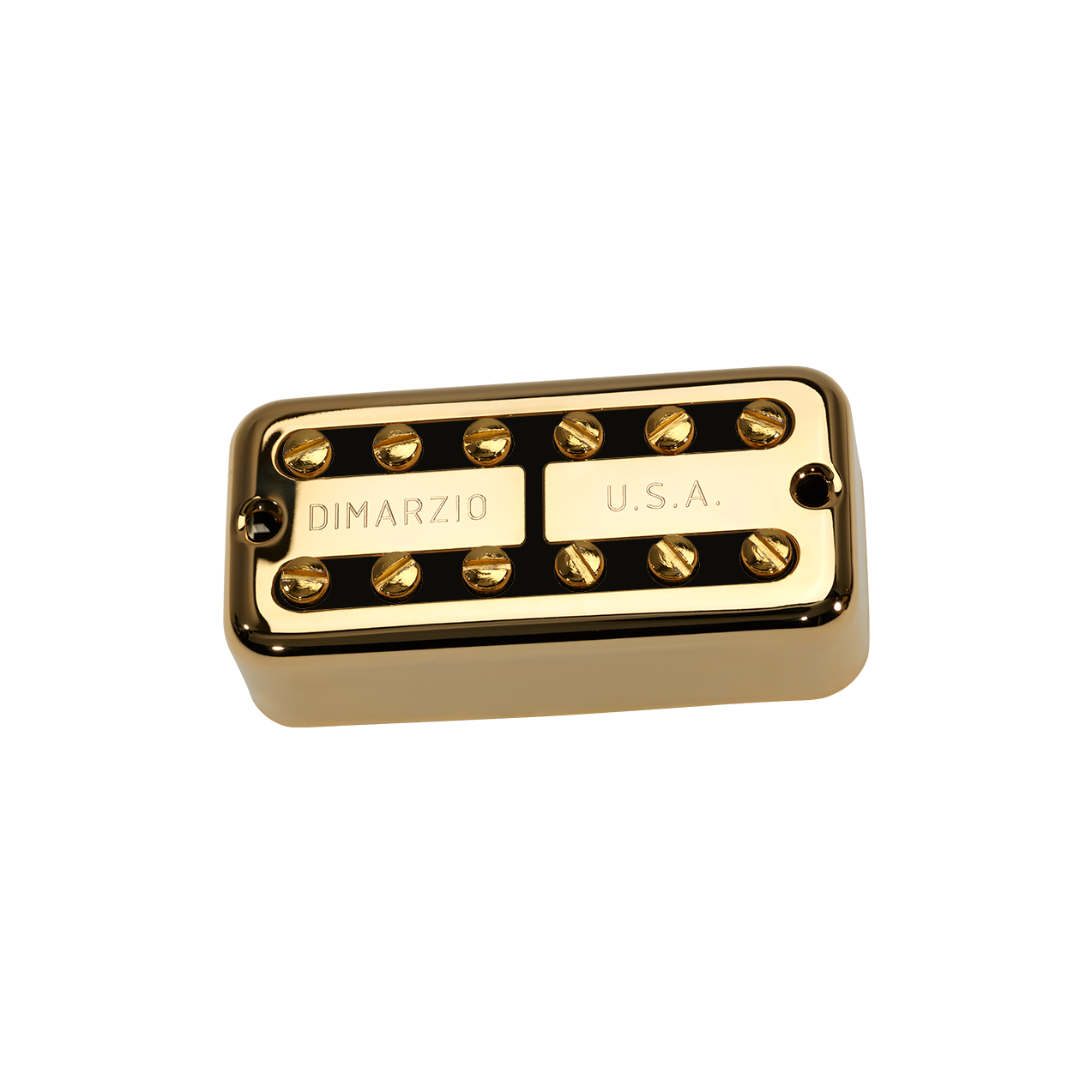 DP291GBK NEW'TRON, Neck, Gold/Black Insert