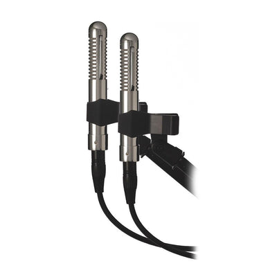 Fen-Tone Stereo Pair