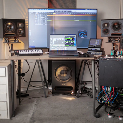 BASS 12 High End DSP Sub