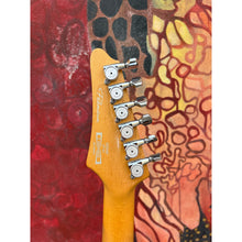 Ladda upp bild till gallerivisning, AZ224F-BI
