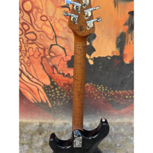 Ladda upp bild till gallerivisning, Luke 4 HH Maple Top Blue Dream 2024
