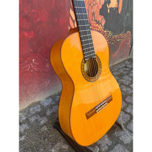 Load image into Gallery viewer, Flamenco
