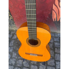 Load image into Gallery viewer, Flamenco
