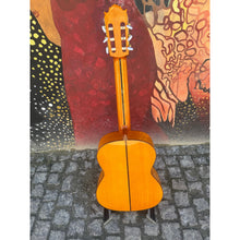 Load image into Gallery viewer, Flamenco
