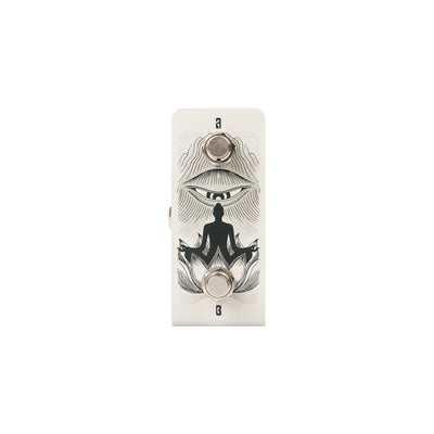 Anima Dual Footswitch Vertical