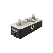 Load image into Gallery viewer, Anima Dual Footswitch Vertical
