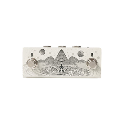 Animus Dual Footswitch Horizontal
