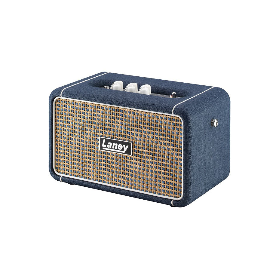 Laney - F67 Lionheart - Musik Utan Gränser 