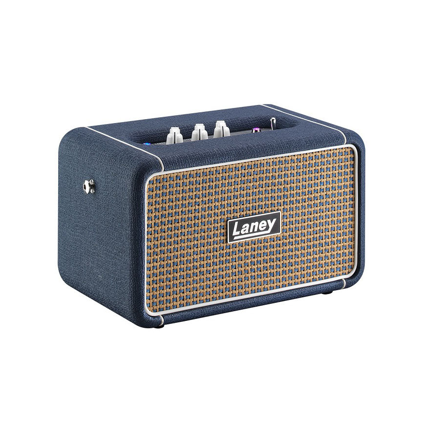 Laney - F67 Lionheart - Musik Utan Gränser 