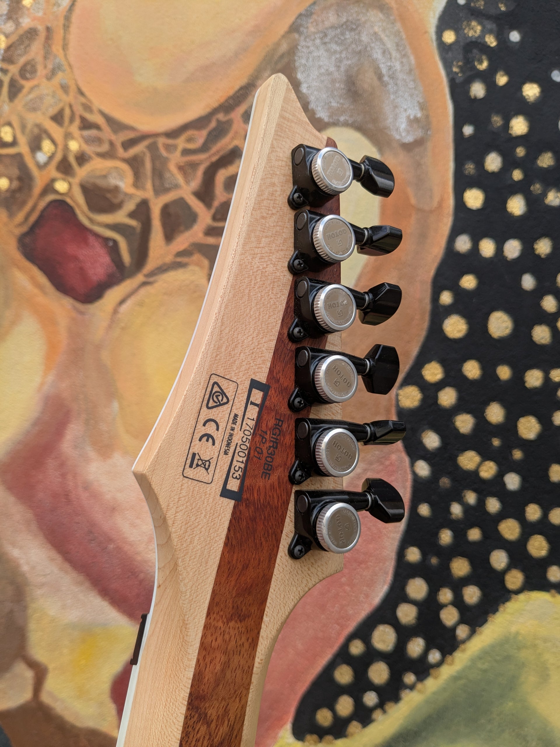 RGIR30BE Black Flat
