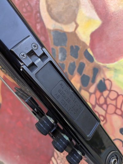 B2 Steinberger