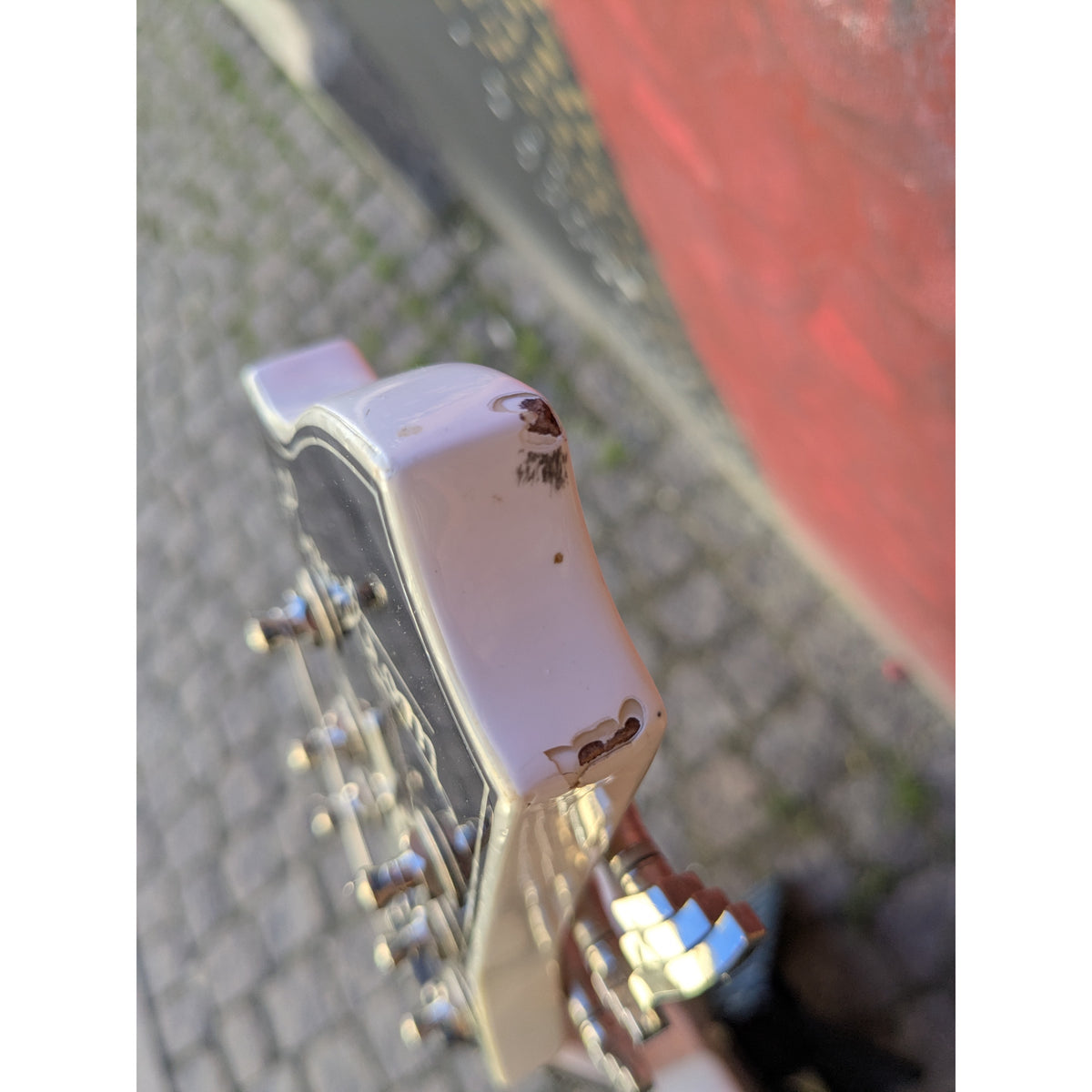 Swede White
