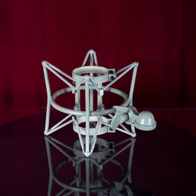 Quantum Electric - Q24 Vacuum Tube Condenser Microphone - Musik Utan Gränser 