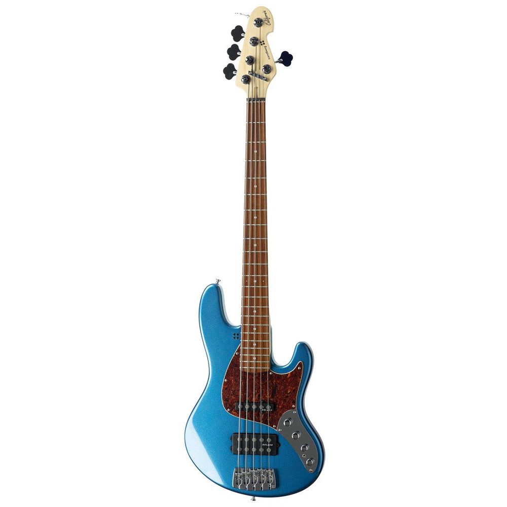 TM5 Lake Placid Blue HG PF Dots tort