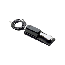 Load image into Gallery viewer, VFP1/10 Sustain Pedal
