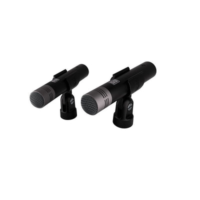 ML2A Modelling microphone pair