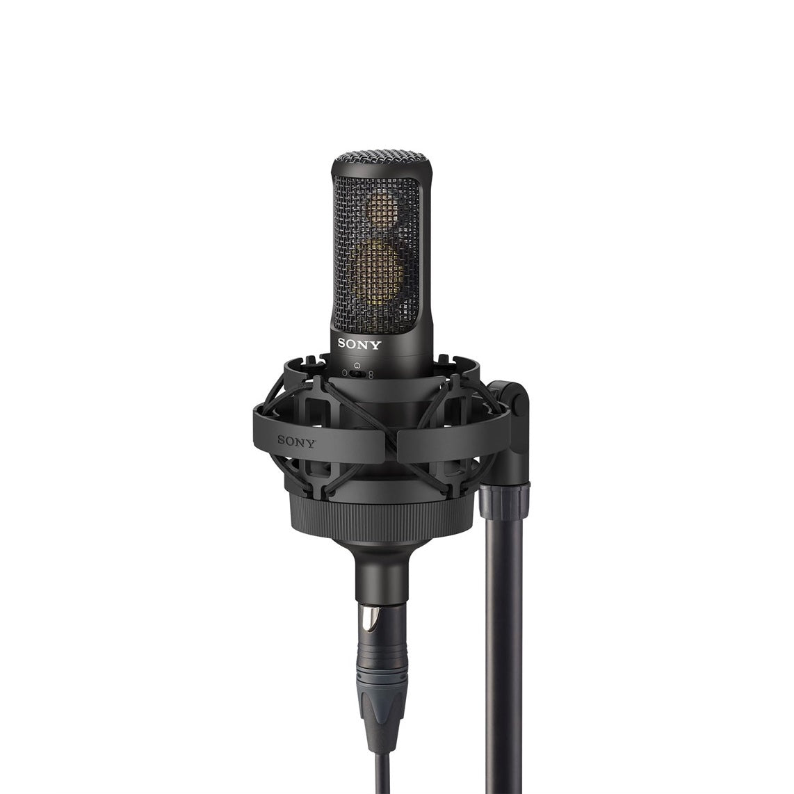 C-100 High Res Audio 2-vägs kondensatormikrofon