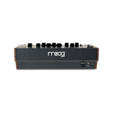 Ladda upp bild till gallerivisning, Moog - Spectravox - Musik Utan Gränser 
