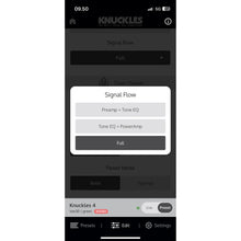 Ladda upp bild till gallerivisning, Universal Audio - Knuckles 92 Rev F Dual Rec Amplifier - Musik Utan Gränser 
