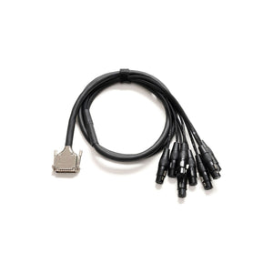 Warm Audio - DB25-XLR-F CABLE 3m - Musik Utan Gränser 
