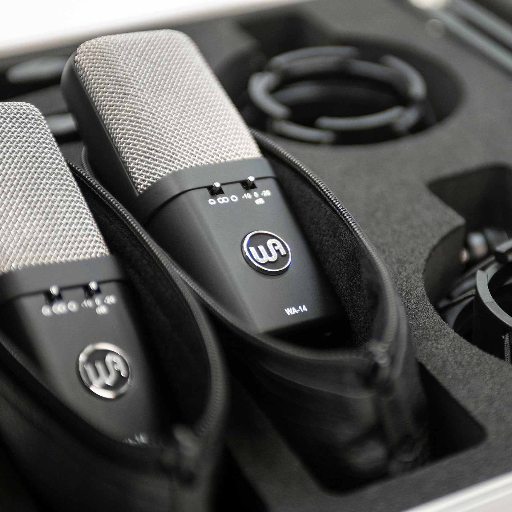 Warm Audio - WA-14SP Large-Diaphragm Condenser Microphone Stereo Pair - Musik Utan Gränser 