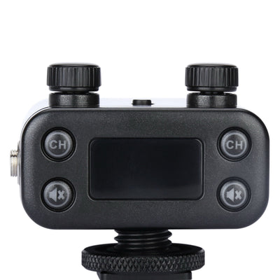 U5 - Digital wireless system