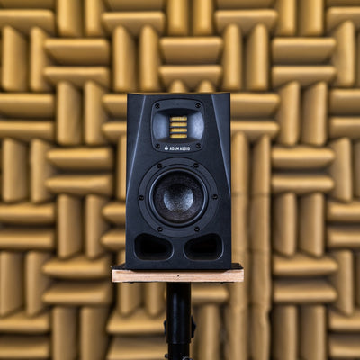 A4V Närfälts monitor 2-vägs 4" Woofer