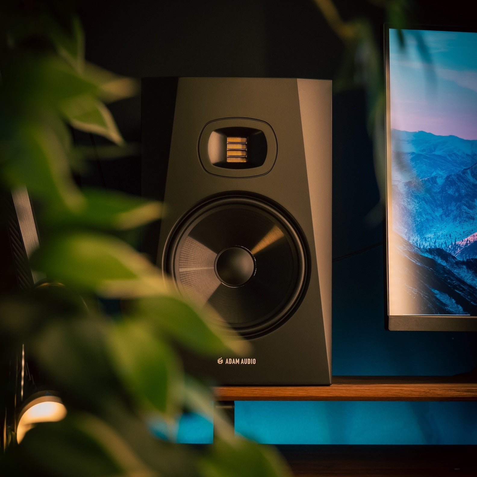 T8V Närfälts monitor 2-vägs 8" woofer