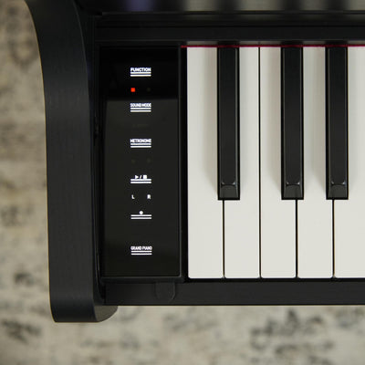 AP-300 BK Celviano Digital Piano