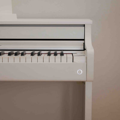 AP-550 WH Smart Hybrid Celviano
