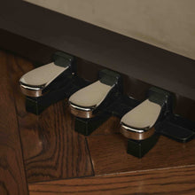 Ladda upp bild till gallerivisning, AP-S450 BN Smart Hybrid Celviano
