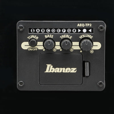 Ibanez AAM100E-BK – bild 5