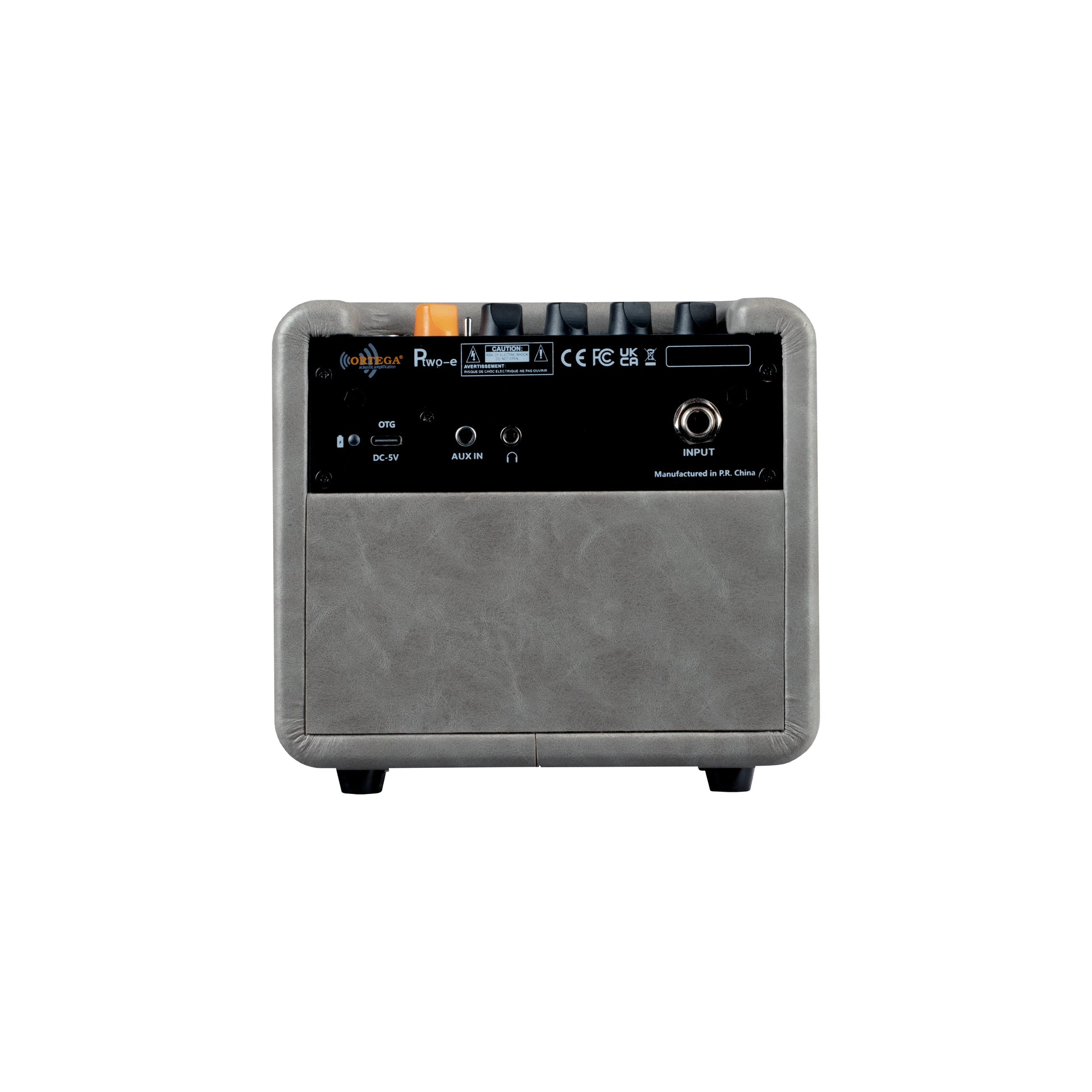PTWO-E Electric Guitar 12w Practice Amp