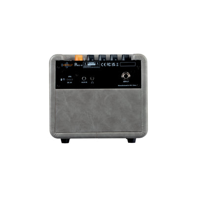 PTWO-E Electric Guitar 12w Practice Amp