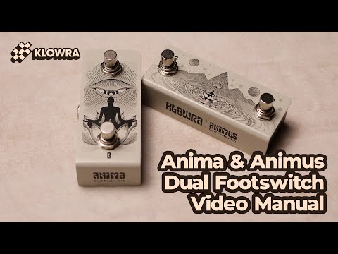 Animus Dual Footswitch Horizontal
