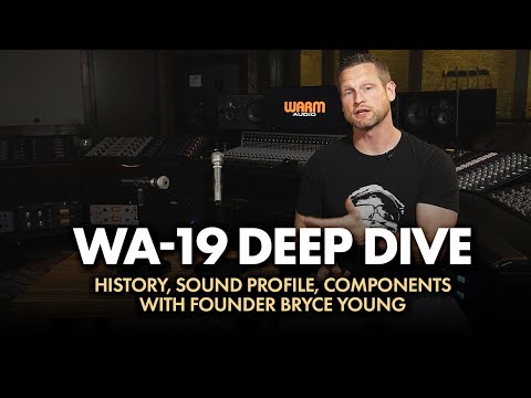 WA-19 Nickel dynamic microphone