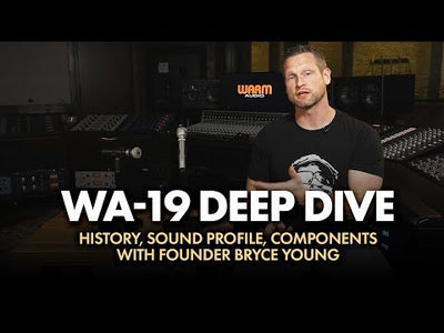 WA-19 Nickel dynamic microphone