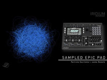Load and play video in Gallery viewer, Iridium Desktop
