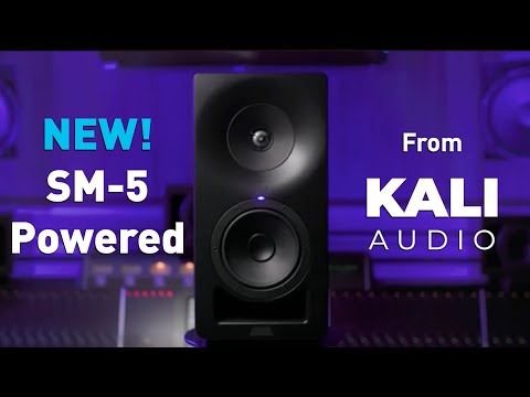 SM-5 3-vägs studiomonitor