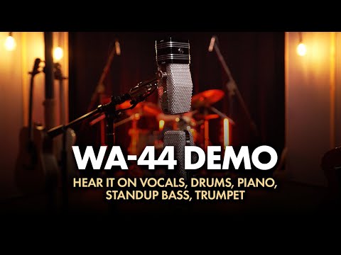 WA-44 studio ribbon microphone