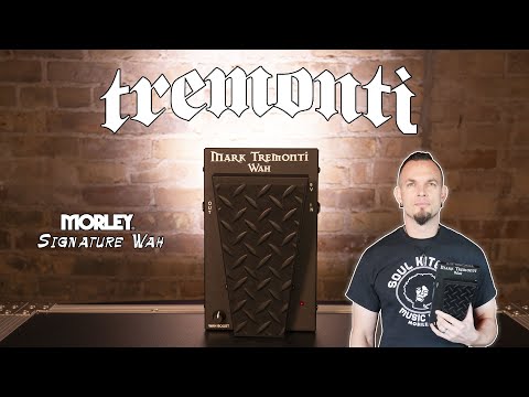 Mark Tremonti Classic Size