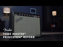 Ladda och spela upp video i Gallerivisaren, Tone Master Princeton Reverb
