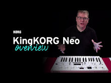 Ladda och spela upp video i Gallerivisaren, KingKORG NEO Synthesizer
