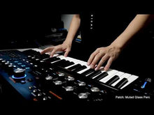 Load and play video in Gallery viewer, Hydrasynth Keyboard
