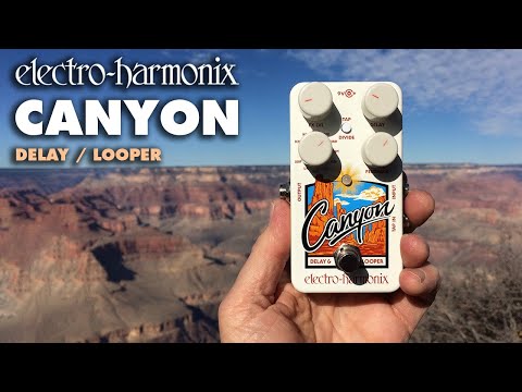 Canyon Delay Looper