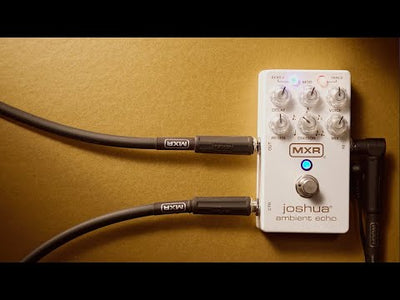 M309G1 Joshua Ambient Echo