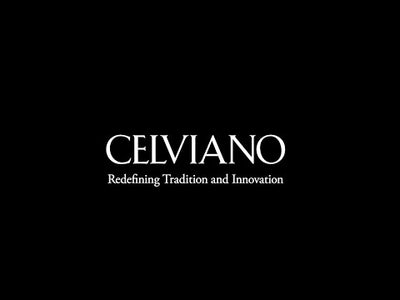 AP-550 BK Smart Hybrid Celviano